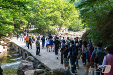 8년만에 열린 지리산 비경 장당계곡…탐방객 연이은 환호
