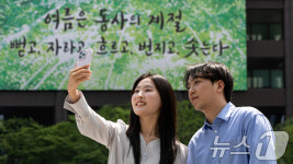 여름편으로 새단장 마친 광화문글판