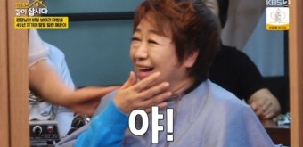 혜은이, 