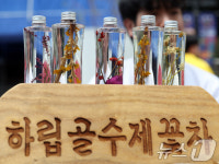 함백산언니들꽃차 | 향긋한 강원 꽃차
