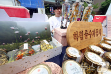 함백산언니들꽃차 | '눈도 향도 즐거운 강원 꽃차'
