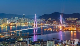 부산 영도구, 기획테마투어 영도나잇 운영
