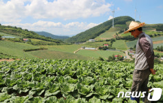 강릉 구정 36.9도…강원 곳곳 35도 이상 '펄펄' 끓었다(종합)