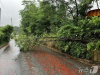 익산 함라 119㎜…전북 전역 호우특보, 남원·순창은 경보