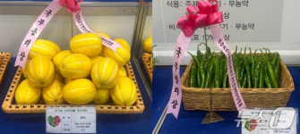성주 참외·영양 풋고추 친환경 인정…유기농경진대회서 국무총리상