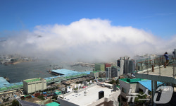 해무 도시 부산