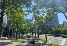 포항 도심 속 숲길