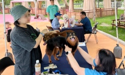 서울시수의사회, 마포구와 댕댕이 여름철 무료 건강상담 진행