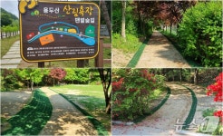 '시민 제안 추진' 제천시 용두산 산림욕장 '맨발숲길' 조성 완료