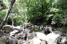 폭염 피해 계곡으로