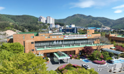 태백시, 11일 황부자 며느리 야시장 개장식