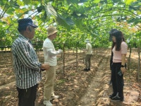 경북농기원, 폭염 대비 현장기술지원단 가동…농작물·가축 피해↓