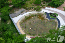 포항시청 비밀의 연못
