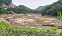 바닥 드러낸 강릉 도마천