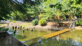 '정읍 37.7도' 전북 전역 폭염경보…일부 지역 소나기