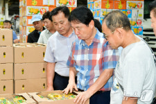 화천 오이·애호박이 최고예요 가락동 시장 찾은 최문순 군수