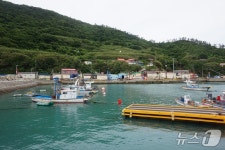 [진도의 섬, 세상의 별 ⑦] 지금은 도시가 된, 징한 섬…죽항도