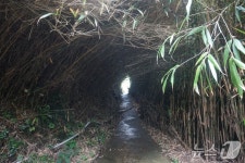 [진도의 섬, 세상의 별 ⑦] 지금은 도시가 된, 징한 섬…죽항도