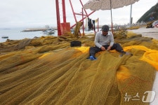 [진도의 섬, 세상의 별 ⑦] 지금은 도시가 된, 징한 섬…죽항도