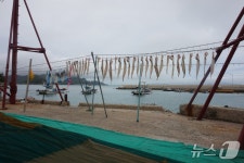 [진도의 섬, 세상의 별 ⑦] 지금은 도시가 된, 징한 섬…죽항도