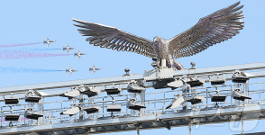 대전 한화생명 볼파크에 등장한 블랙이글스