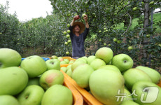 초록사과 썸머킹