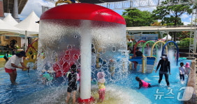 아이와 함께 시원한 여름…보은군 물놀이장 3곳 운영