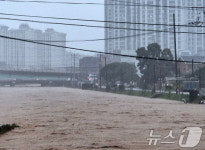 폭우에 수위 높아진 당진천