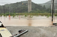 물에 잠긴 교통 표지판…세종 전동면 240㎜ 폭우