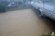 홍수주의보 풍영정천2교