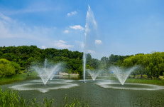 월영지 태양광 수질정화로봇 설치…서울시-롯데칠성 맞손