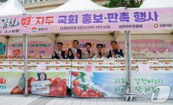 김천 자두 맛보세요