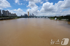 흙탕물로 변한 한강