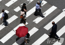 제주시 고령 보행자 보호 위해 횡단보도 139곳 신호체계 개선