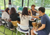 유기견 인식 개선…스타벅스, 2025 놀다가시개! 펫 캠페인 진행