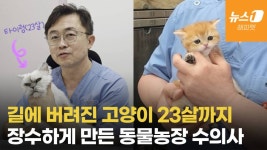 길에 버려진 고양이, 23살 장수묘 만든 사람…동물농장 수의사