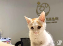 원헬스동물의료센터, ISFM 고양이 친화 동물병원 골드레벨 인증