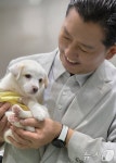 입양기다리는 강아지 살펴보는 김장호 구미시장