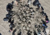 제28회 보령머드축제