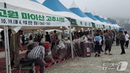 품질 좋은 진안 고추 싸게 사세요…내달 4일 고추시장 개장
