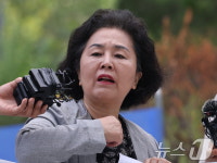 '김건희 특검' 출석하며 입장 밝히는 김영선