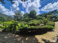 곡성군 주관 아름다운 경관상에 은행나무농원 대상