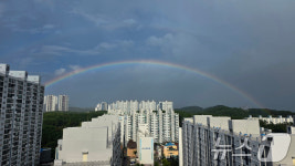 쌍무지개 뜬 포항