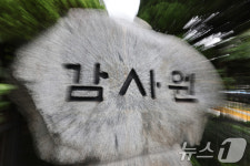 감사원 정책감사 폐지