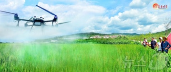 北, 회령시 창효농장 조명…드론 농약 살포기 활용