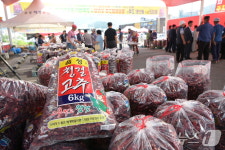 빨간 맛 음성청결고추 직거래장터 오는 12일 개장