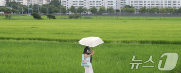 입추 아직 덥네