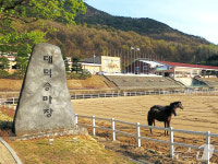 대구 대덕승마장, 실버 힐링승마 시범사업 참가자 20일까지 모집