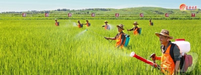 北 백두산 정신으로 국가 부흥…풍성농장 조명