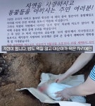 이순이, 둔기 맞아 사체로…돌팔매질 당한 삼성천 오리 가족 비극